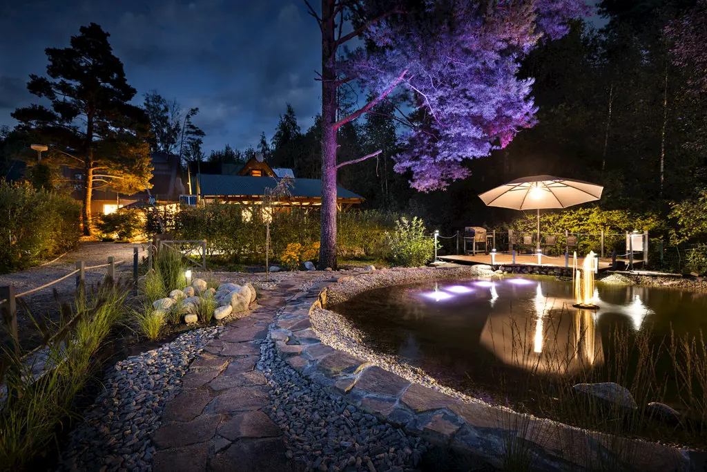 Illuminated garden pond and fountain
